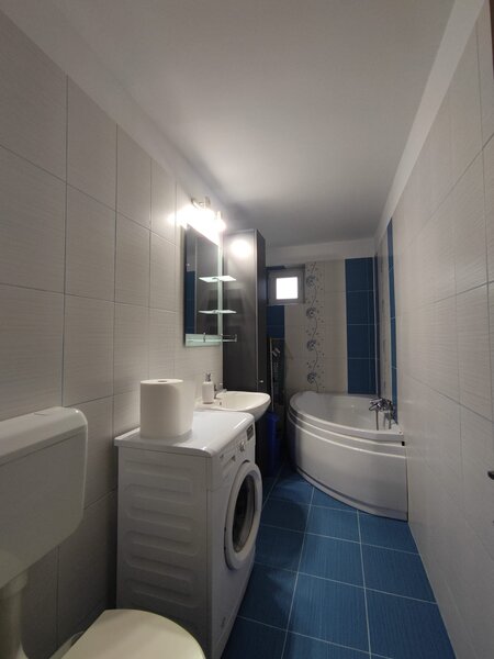 Tei, Teiul Doamnei inchiriere garsoniera decomandata